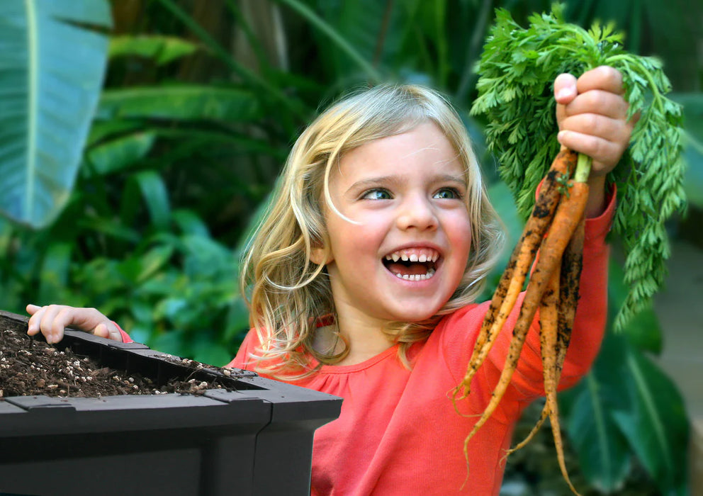 Large Raised Garden Bed with VegeCover 2m x 1m